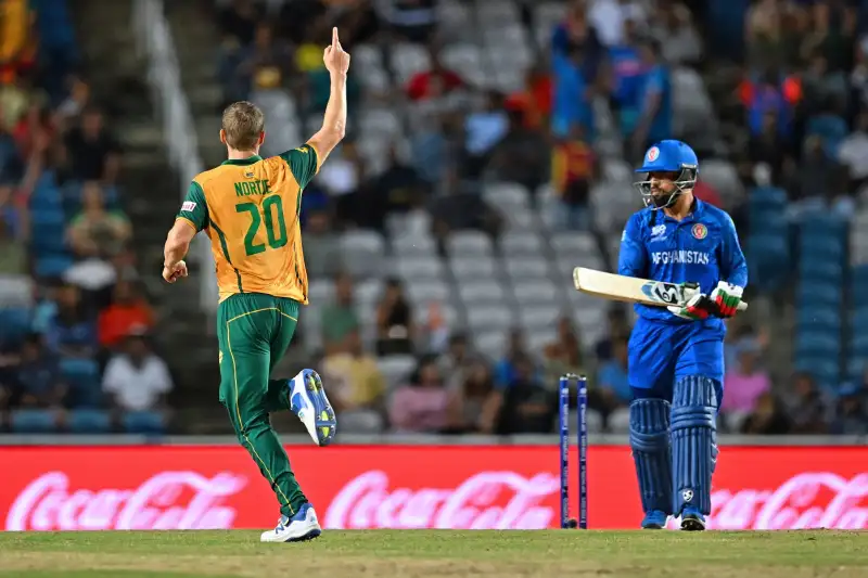 Afghanistan National Cricket Team Vs South Africa National Cricket Team Match Scorecard