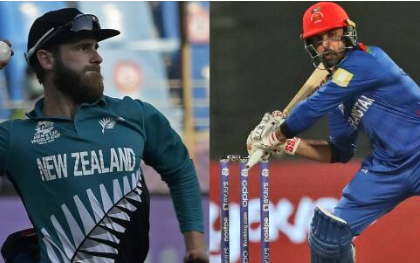 afghanistan national cricket team vs new zealand national cricket team stats