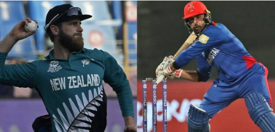 afghanistan national cricket team vs new zealand national cricket team stats